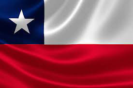 Bandera Chilena 120*180 cm
